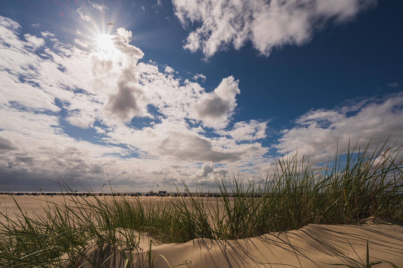 Sandstrand und Dünengras in Norddeich
